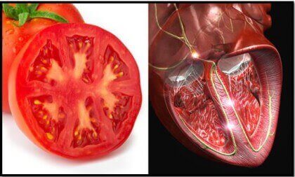 kehonosia muistuttavat ruoat: tomaatti ja sydän