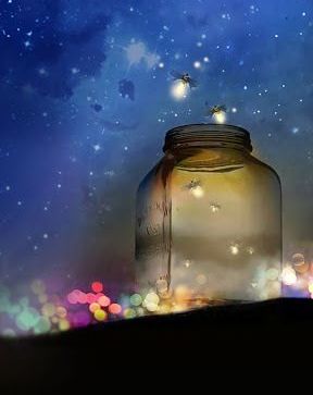 valokärpäset lentävät purkkiin