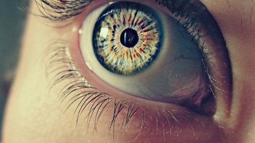 Silmien pupillit - 7 outoa faktaa
