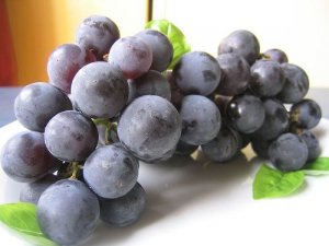 Munuaisten hoito viinirypäleiden avulla