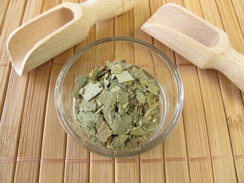 Voit karkottaa täit ottamalla avuksesi eukalyptuksen lehdet.