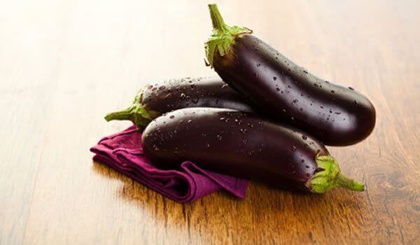 Munakoisot