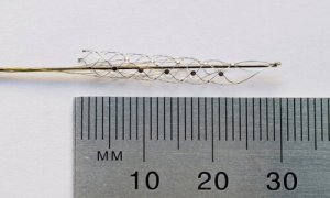 Bioninen selkäranka auttaa halvaantuneita kävelemään