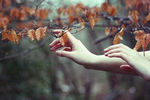 kädet koskettavat syyslehtiä