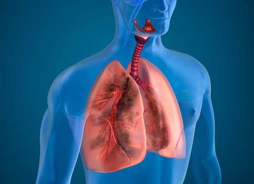 10 luonnollista ainesta, jotka puhdistavat tupakoitsijan keuhkot