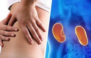 Munuaissairaus ja 7 varoitusmerkkiä sen alkamisesta