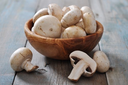 hyönteismyrkyt sienissä