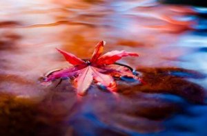 "Flow" torjuu stressiä tehokkaasti