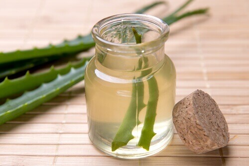 Aloe vera -hyytelö