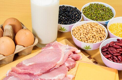Proteiinipitoiset ruoat edistävät kehon kykyä polttaa rasvaa