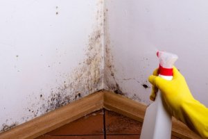 7 tehokasta tapaa poistaa hometta kotoa
