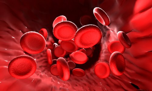 veri ja verihyytymät
