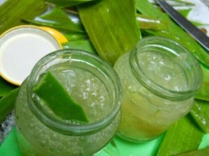 Valmista itse oma aloe vera -geelisi