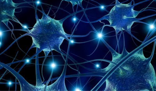 7 psyykkistä terveyttä parantavaa ruokaa 7 psyykkistä terveyttä parantavaa ruokaa