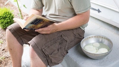 sipuli hyönteismyrkkynä