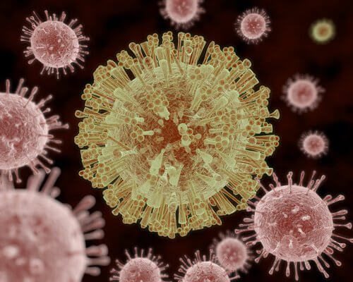 HPV