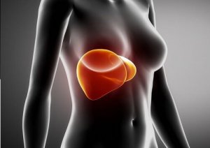 7 maksan terveyttä parantavaa aamiaisruokaa