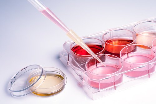 Laboratoriokokeet