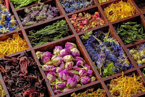 yrtit hiivatulehduksia vastaan