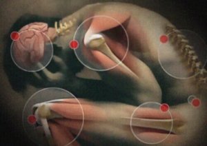 7 elimistön viestiä vaaroista, joita usein luullaan harmittomiksi