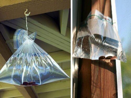 vodkapussit kärpästen karkottamiseksi