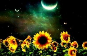 Tärkeintä ovat tunnesiteet toisiin, eivät tavarat