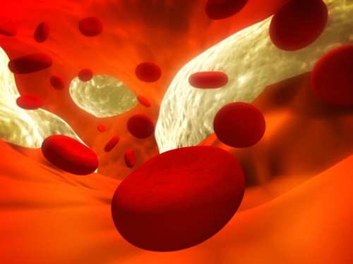 Verisuonet ja niiden kallkeutuma: 12 luonnollista hoitokeinoa