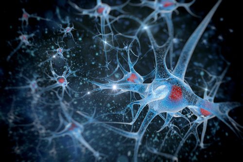 neuronit tehostuvat merisuolasta