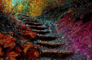 "Elämän portaat" - näin voit parantaa itseäsi 5 tavalla päivittäin