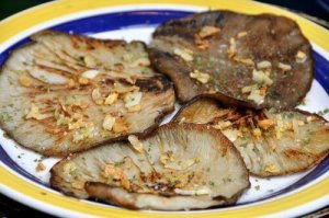 Vahvista vastustuskykyäsi osterivinokkailla