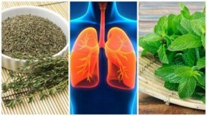 8 yrttiä, jotka parantavat keuhkojen terveyttä