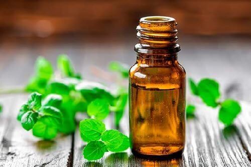 7 luonnollista lihasrelaksanttia: piparminttuöljy