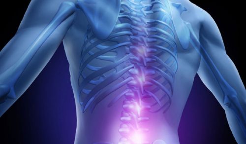 Mikrokuidut voivat auttaa selkärangan uudelleenluonnissa.