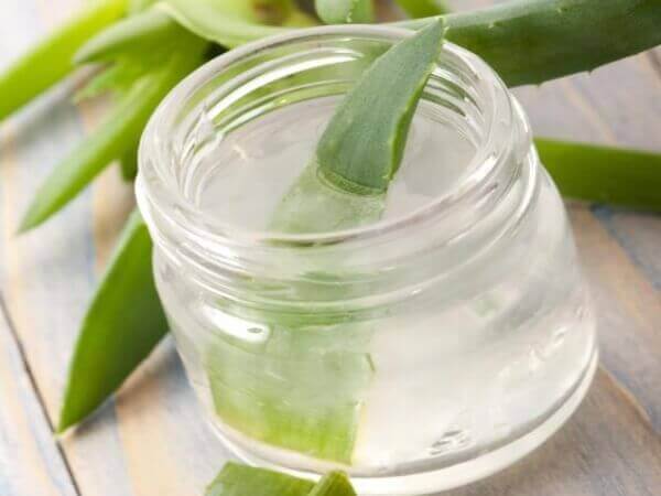 aloe vera hoitaa makuuhaavat