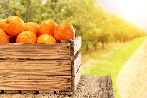 appelsiinikori