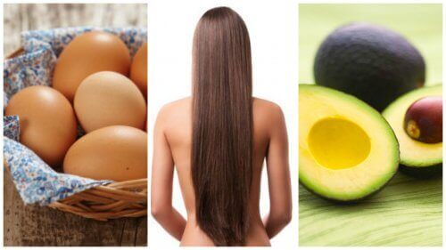 8 ruoka-ainetta hiusten kasvun nopeuttamiseen