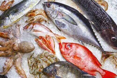 9 epäterveellistä kalaa, joita on parasta välttää