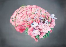 aivoissa kasvaa kukkia: eivät ole surulliset aivot