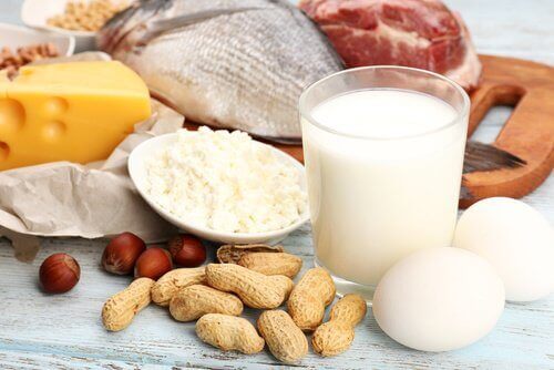 proteiinipitoiset ruoat