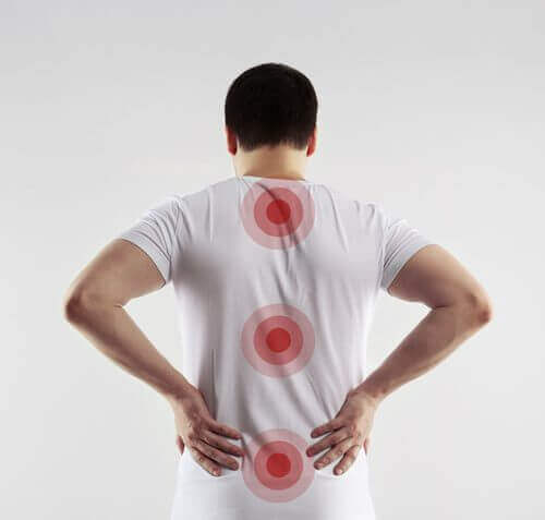 Tutkimuksen löydökset voisivat auttaa selkärangan vammoista kärsiviä potilaita.