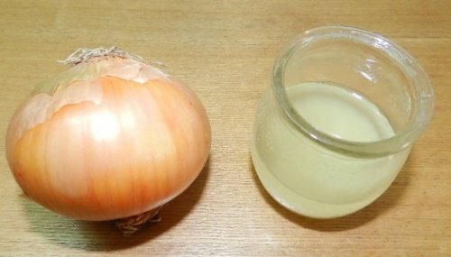 sipuli