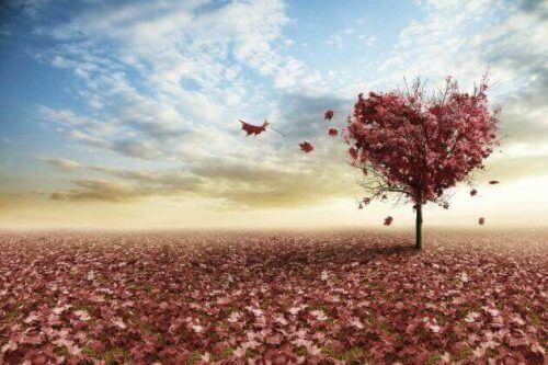 Parisuhteen loppumisesta on mahdollista päästä yli.