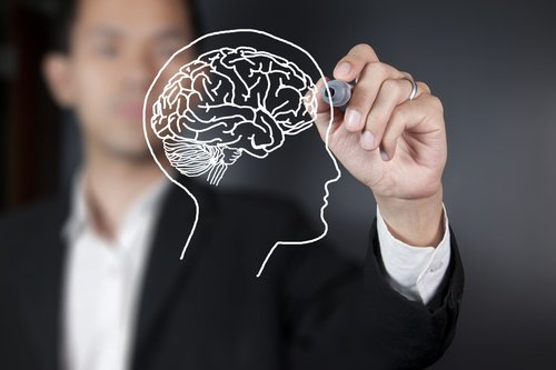 Tutkijat ovat löytäneet aivoalueen, joka kehittyy 36-vuotiaaksi asti