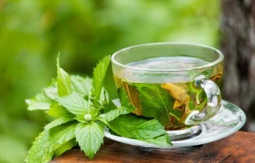 Sitruunamelissalla on kiinteyttäviä ominaisuuksia.