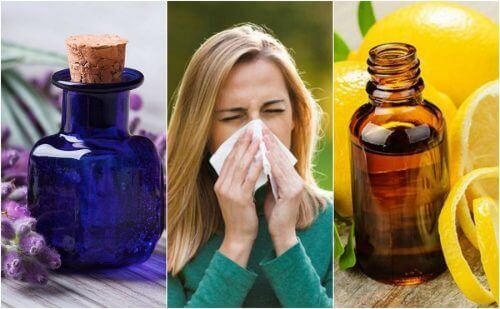 6 eteeristä öljyä allergiaoireiden hillitsemiseen