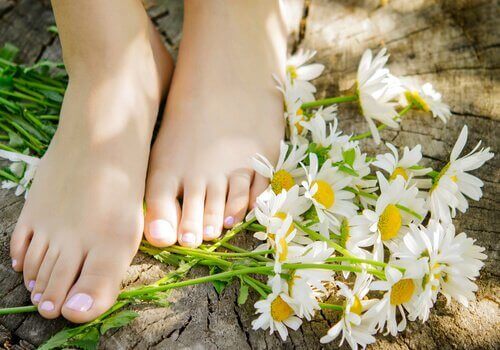 kamomilla jalkojen alla