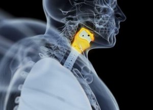 Kilpirauhasen vajaatoiminta - mitä siitä tulee tietää?