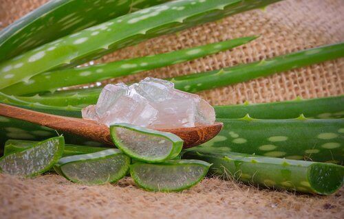 aloe vera -geeli