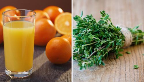 6 luonnollista antibioottia, joista et luultavasti tiennyt 6 luonnollista antibioottia, joista et luultavasti tiennyt