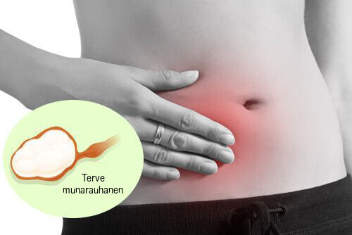 naisen terve munarauhanen